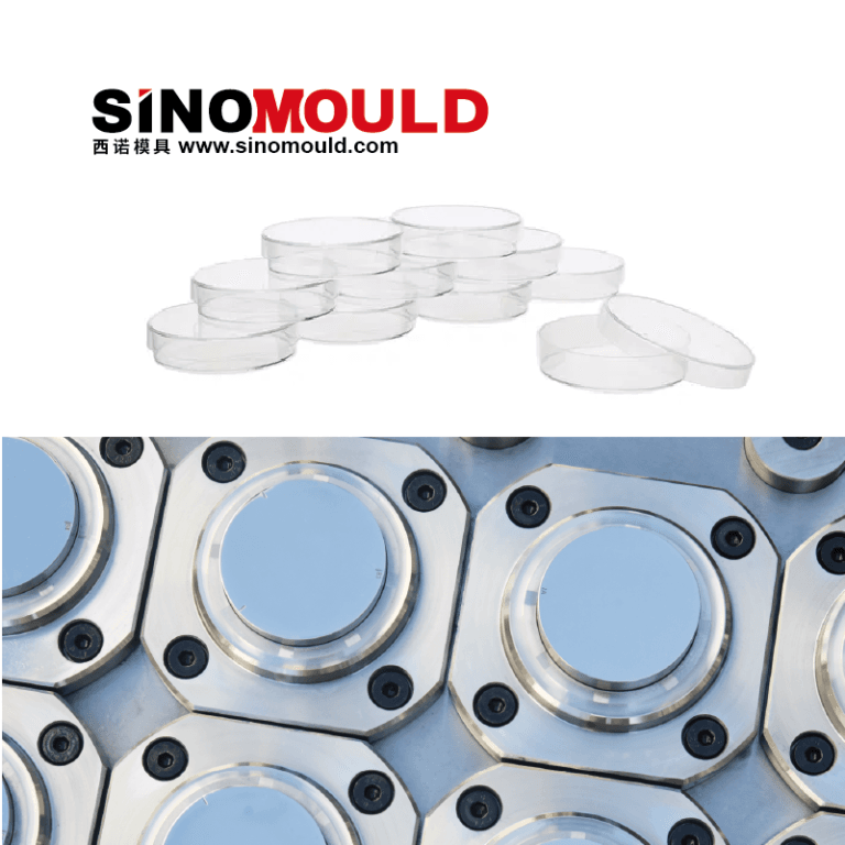 Petri Dish Mould